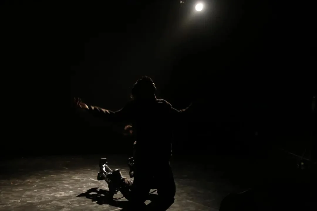 《Cocoon House》 ( )--P4 Theater ""
