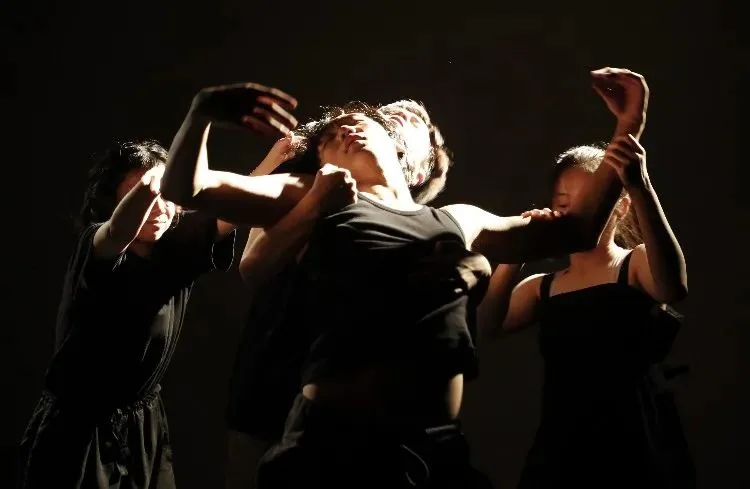 《Cocoon House》 ( )--P4 Theater ""