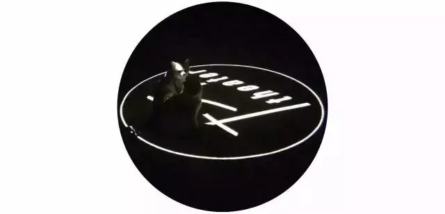 Pixel Echo XIII