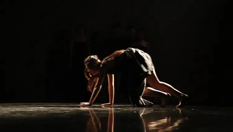 《Cocoon House》 （ ）--P4 Theater ""